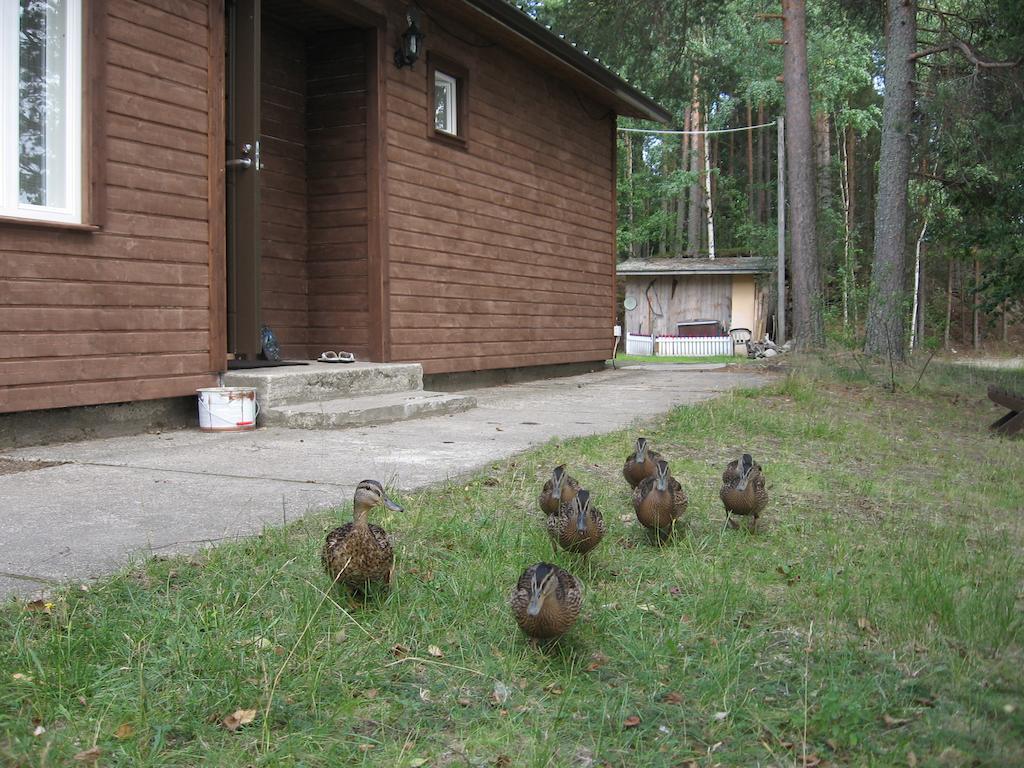 Lomasaaret Cottages Villala Szoba fotó